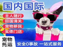 宁波机场空运国际宠物托运 【国